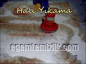 Halı Yıkama