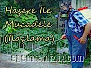 ilaclama