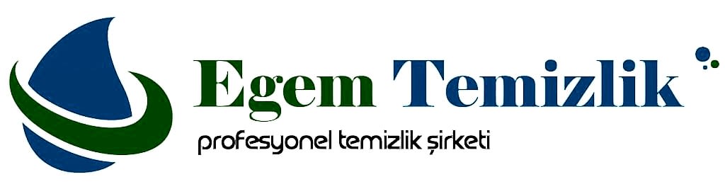 Ev Temizlik Şirketi